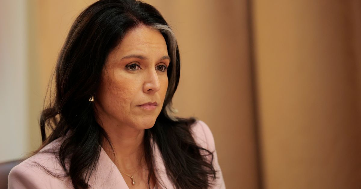 ‘Deranged Behavior’: Tulsi Gabbard Accuses Mainstream Media Reporter of ‘Actively Harassing’ Her Staff